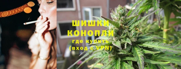 дживик Дмитров
