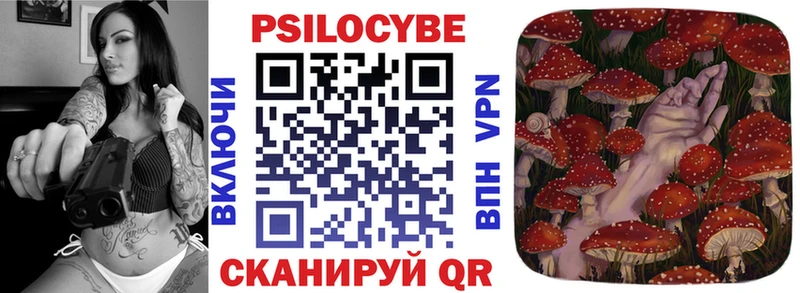 Псилоцибиновые грибы Psilocybe блэк спрут сайт Алзамай
